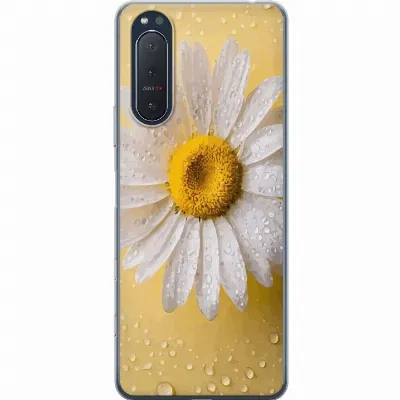 Afbeelding van artikel A61388