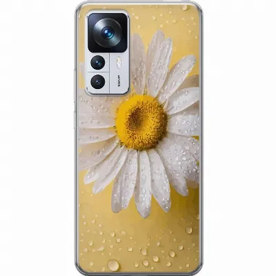 Afbeelding van artikel A64034